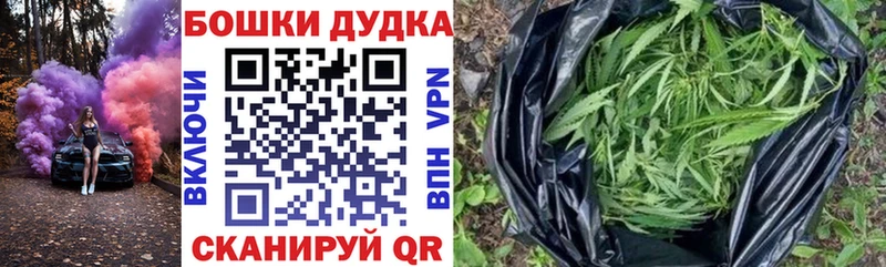 Бошки Шишки гибрид  закладки  мега ССЫЛКА  Лермонтов 